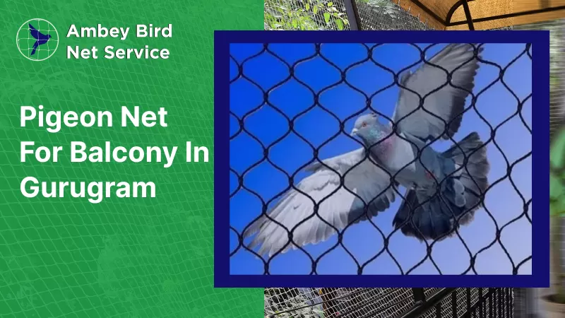 pigeon net for balcony in gurugram